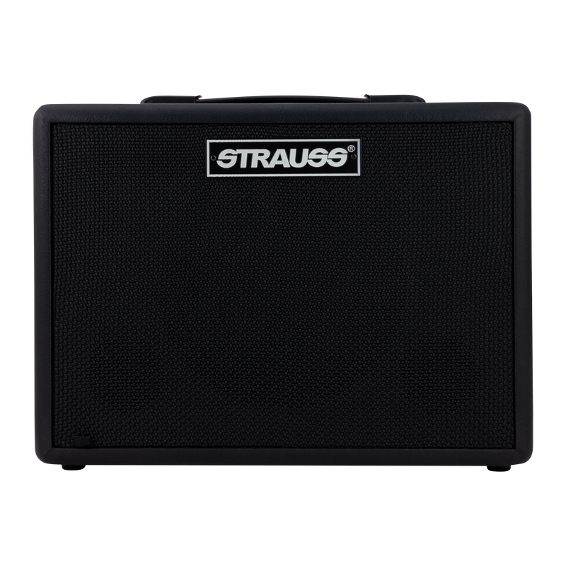 -Strauss GN15 15 Watt Vintage Guitar Combo Amplifier (Black)-Living Music