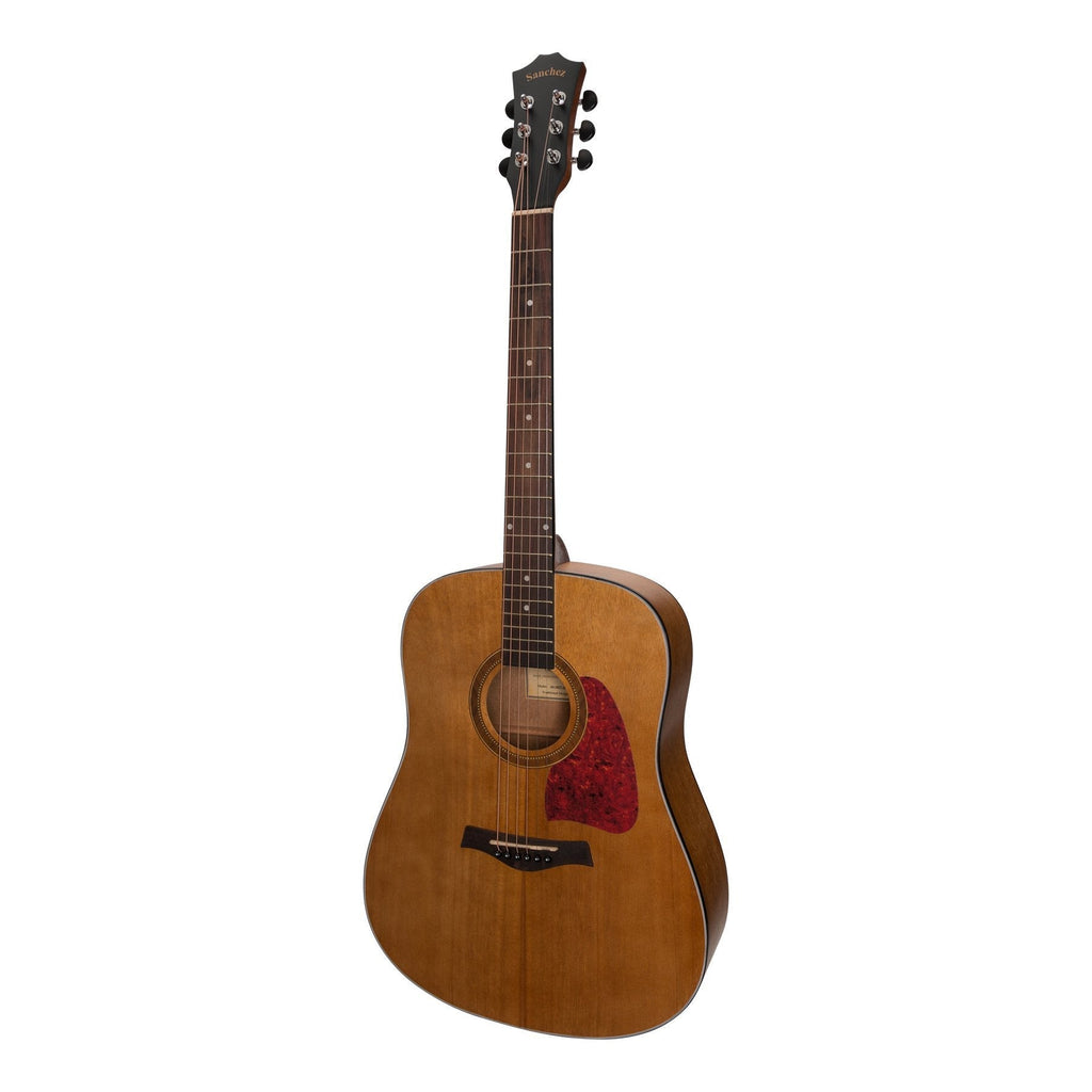 SP-D2ET-ACA-Sanchez Acoustic-Electric Dreadnought Guitar Pack-Living Music