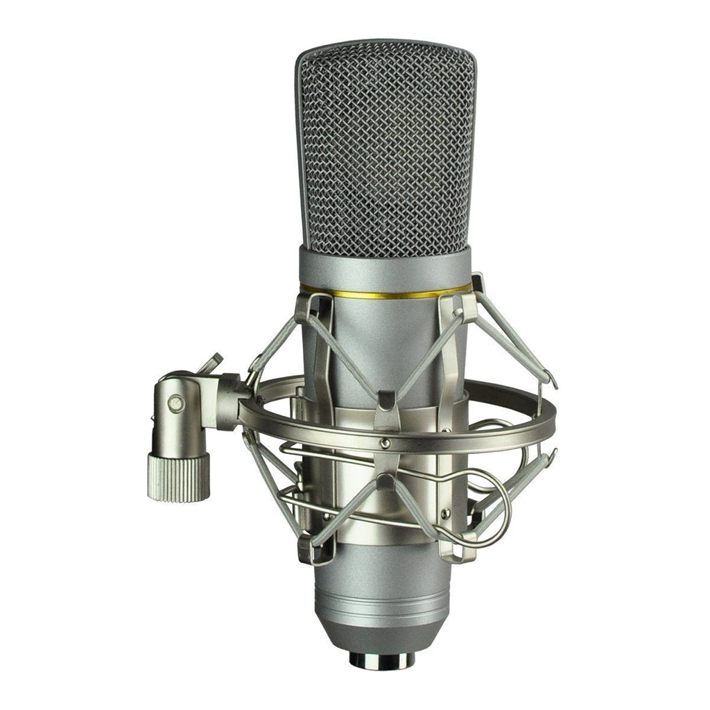 -SoundArt USB Condenser Microphone with Cradle & Carry Bag-Living Music