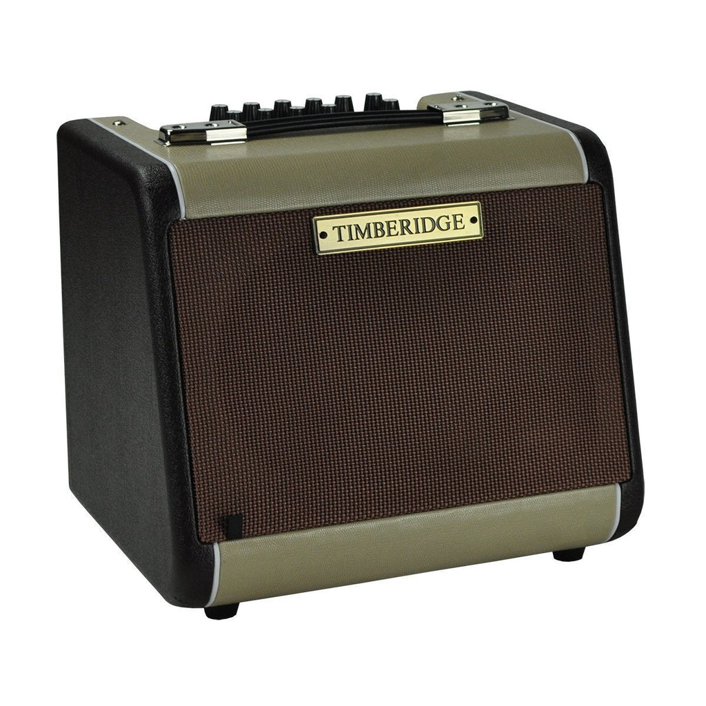 -Timberidge Retro-Style 60 Watt Acoustic Guitar Amplifier with Reverb & Chorus/Delay-Living Music