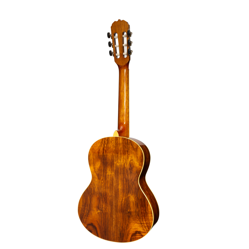 -Sanchez 3/4 Student Acoustic Classical Guitar Spruce Rosewood (Gloss)-Living Music