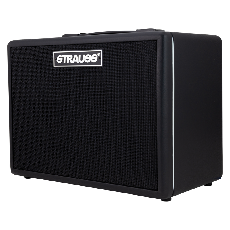 -Strauss BN15 15 Watt Vintage Bass Combo Amplifier (Black)-Living Music