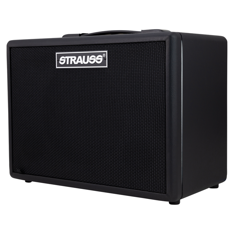 -Strauss GN15 15 Watt Vintage Guitar Combo Amplifier (Black)-Living Music
