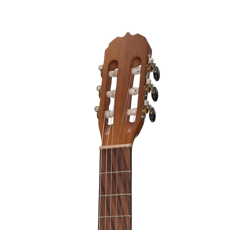 SS-C39-SA-Sanchez Full-size Size Student Classical Guitar with Gig Bag (Spruce/Acacia)-Living Music