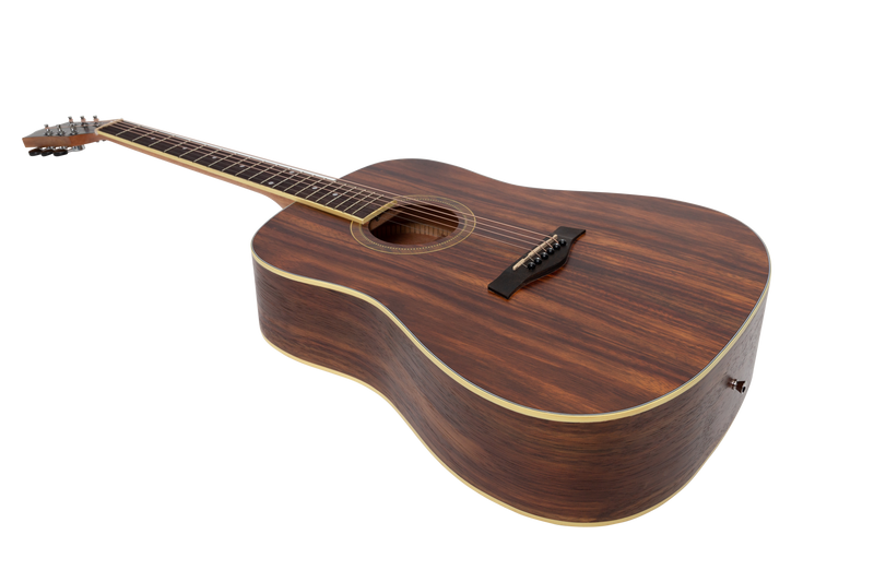 -Sanchez Left Handed Acoustic Dreadnought Guitar Pack (Rosewood)-Living Music