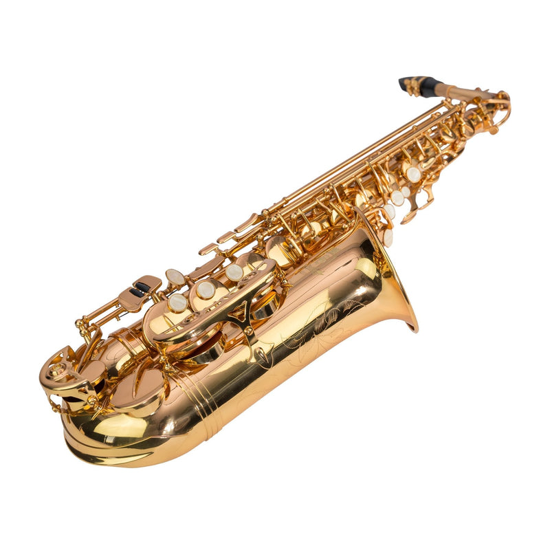 KSO-AS10-GLD-Steinhoff Advanced Student Alto Saxophone (Gold)-Living Music