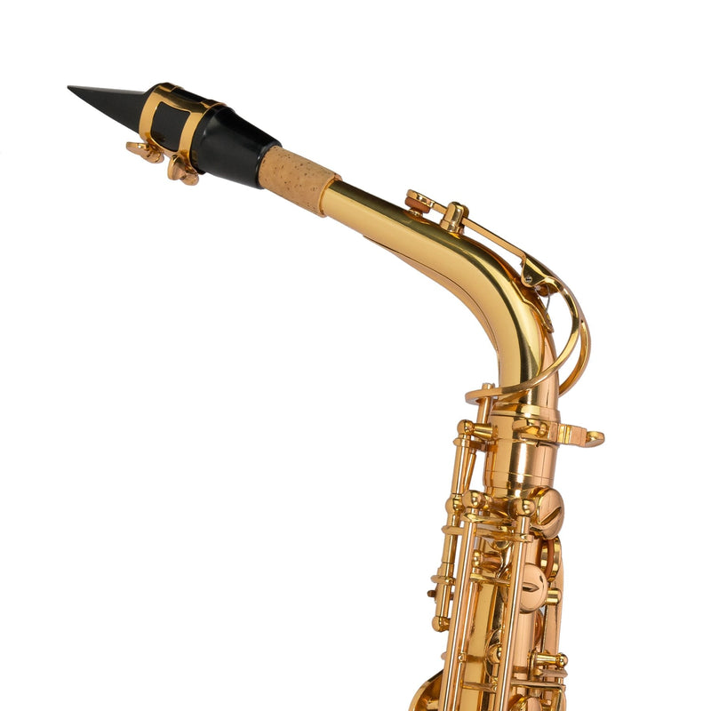 KSO-AS10-GLD-Steinhoff Advanced Student Alto Saxophone (Gold)-Living Music