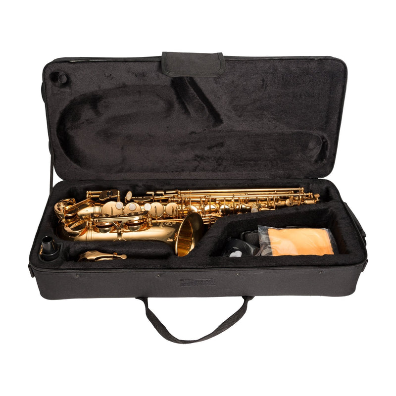 KSO-AS10-GLD-Steinhoff Advanced Student Alto Saxophone (Gold)-Living Music