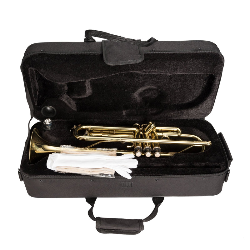 -Steinhoff Advanced Student Bb Trumpet (Gold)-Living Music