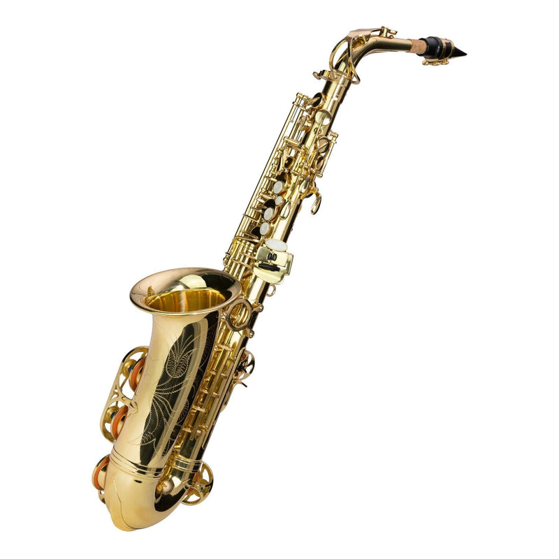 -Steinhoff Intermediate Alto Saxophone (Gold)-Living Music