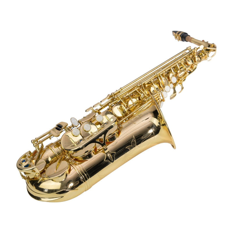 -Steinhoff Intermediate Alto Saxophone (Gold)-Living Music