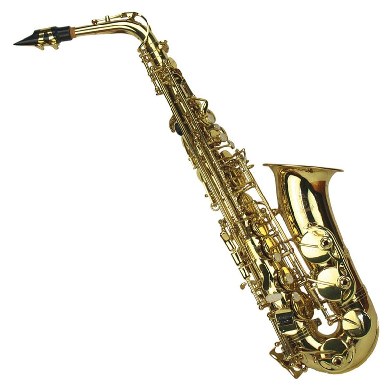 KSO-AS2-GLD-Steinhoff Student Alto Saxophone (Gold)-Living Music