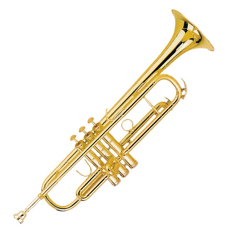 -Steinhoff Student Trumpet (Gold)-Living Music