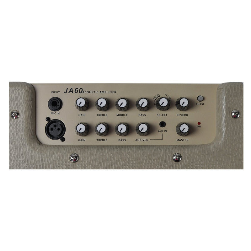 -Timberidge Retro-Style 60 Watt Acoustic Guitar Amplifier with Reverb & Chorus/Delay-Living Music